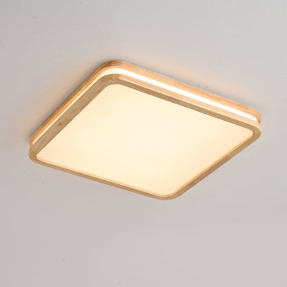 Double Rim Ceiling Light