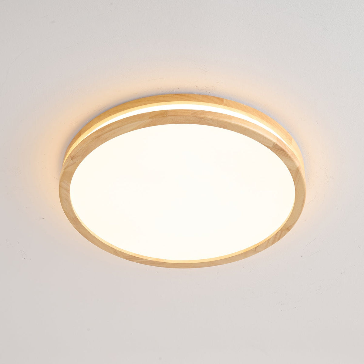 Double Rim Ceiling Light
