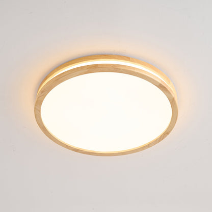 Double Rim Ceiling Light