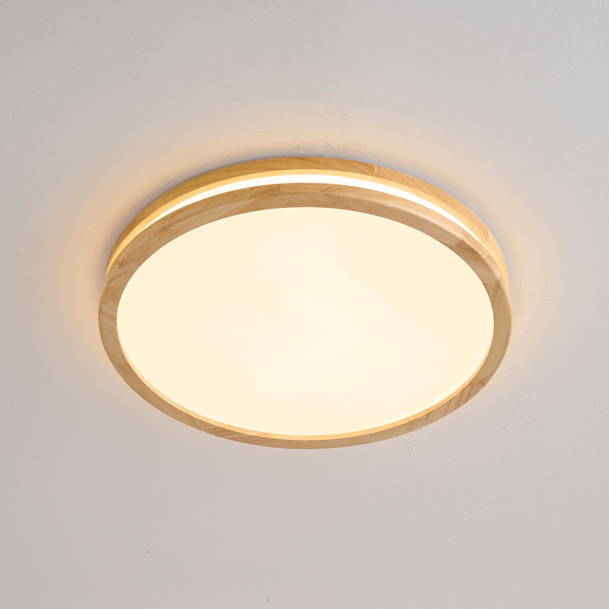 Double Rim Ceiling Light