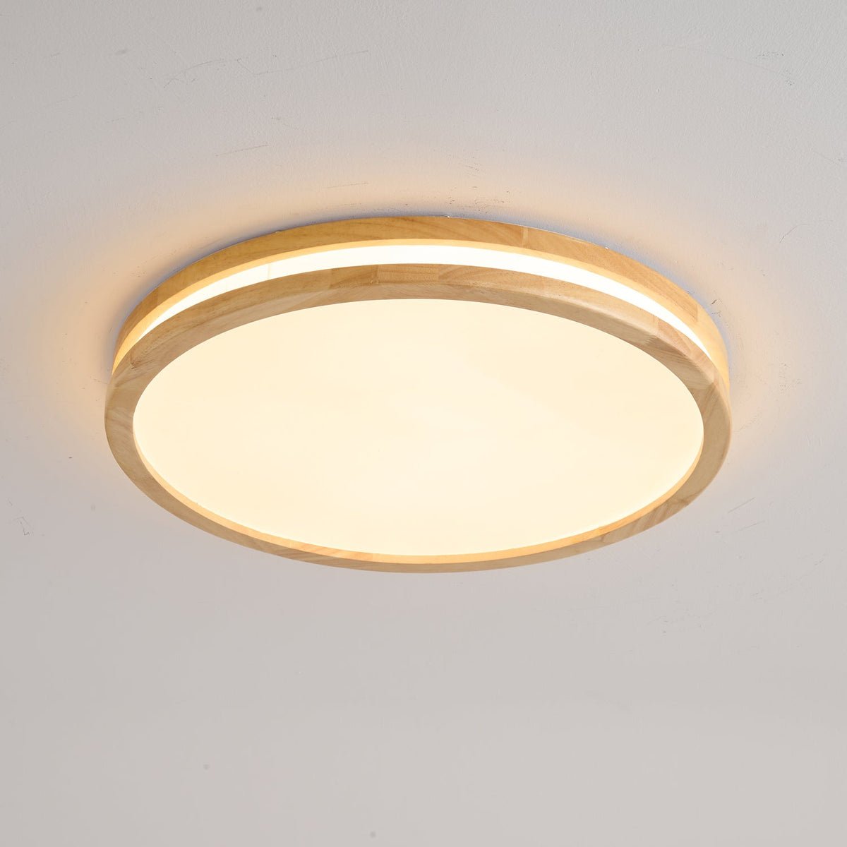 Double Rim Ceiling Light