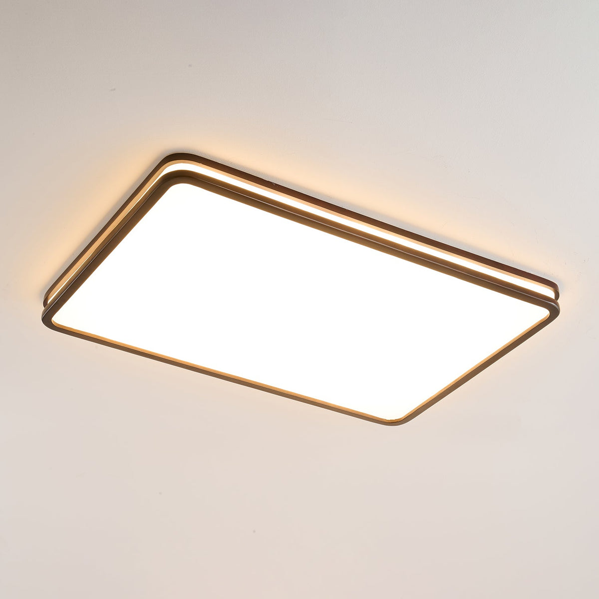 Double Rim Ceiling Light