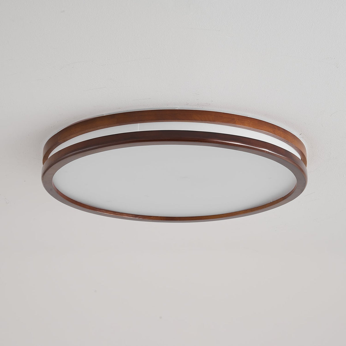 Double Rim Ceiling Light
