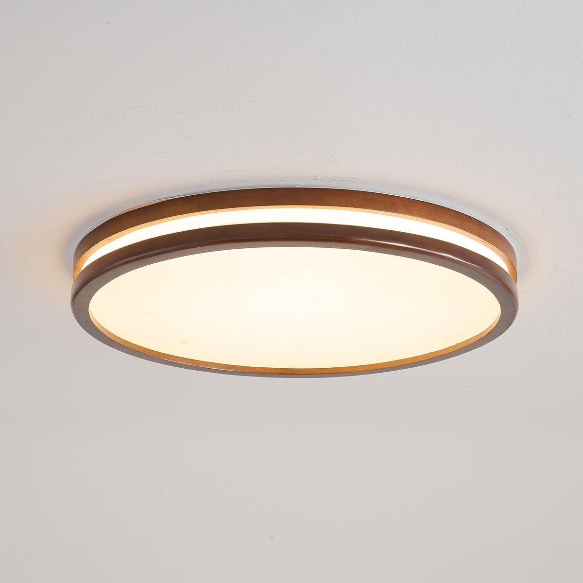Double Rim Ceiling Light