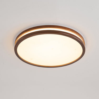 Double Rim Ceiling Light