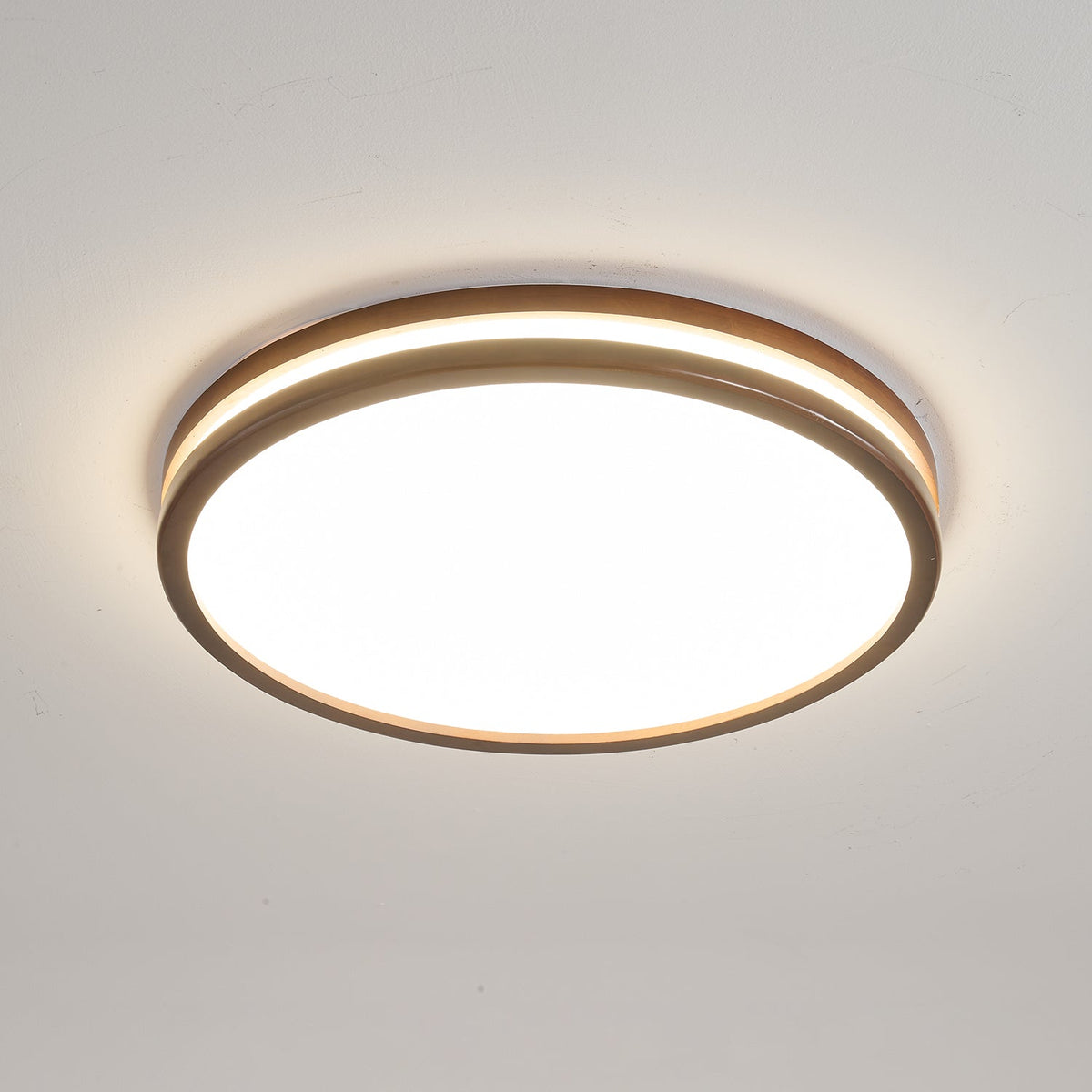 Double Rim Ceiling Light
