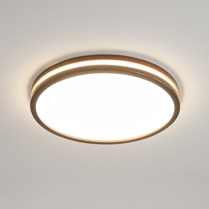 Double Rim Ceiling Light