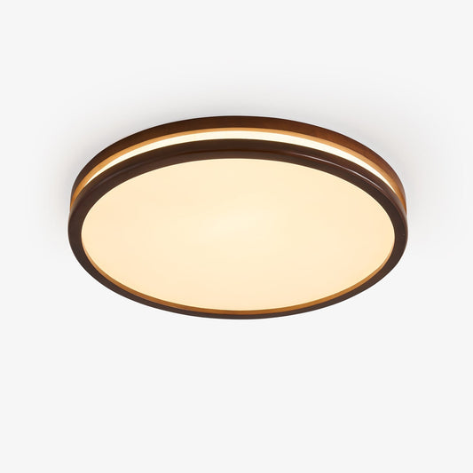 Double Rim Ceiling Light