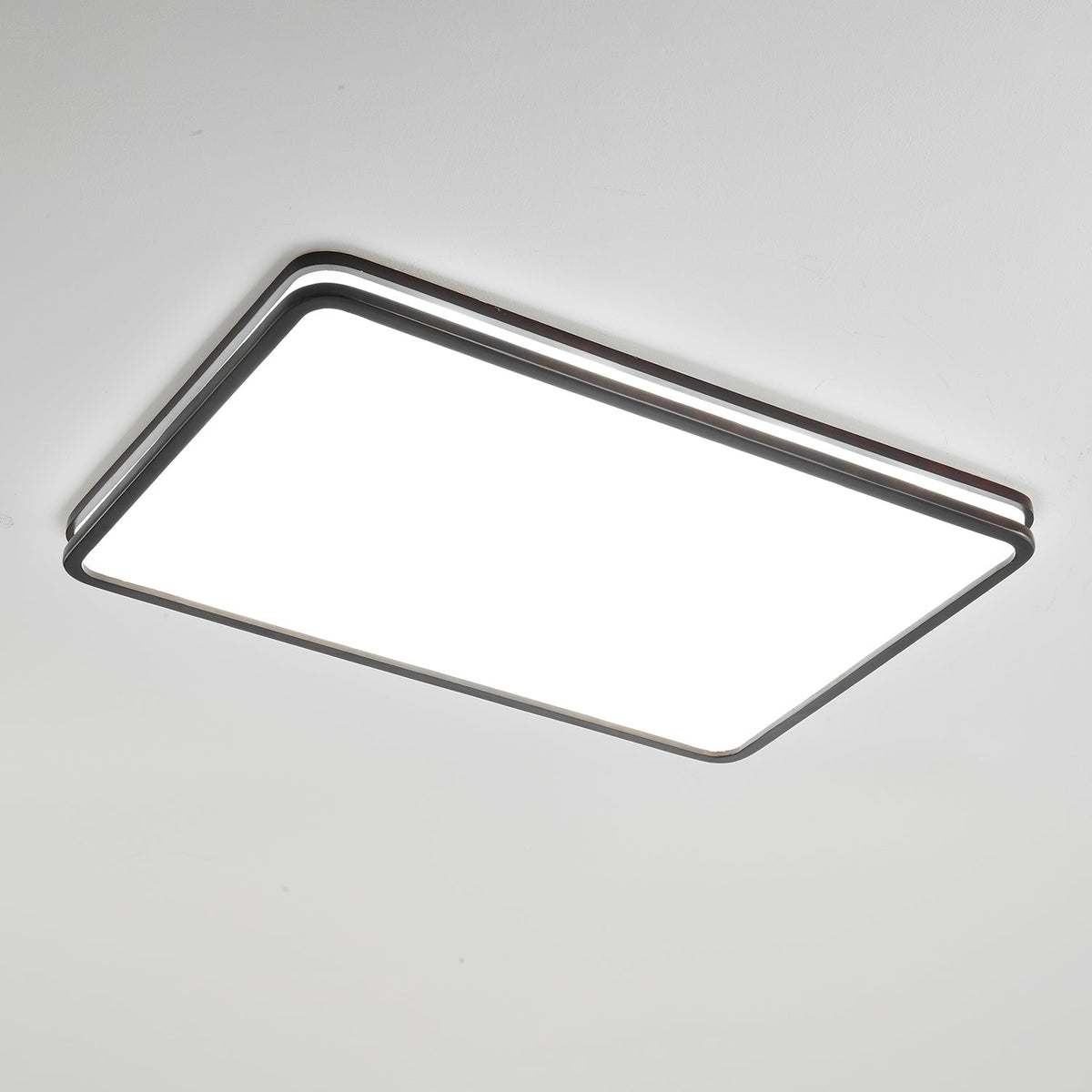 Double Rim Ceiling Light