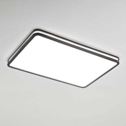 Double Rim Ceiling Light
