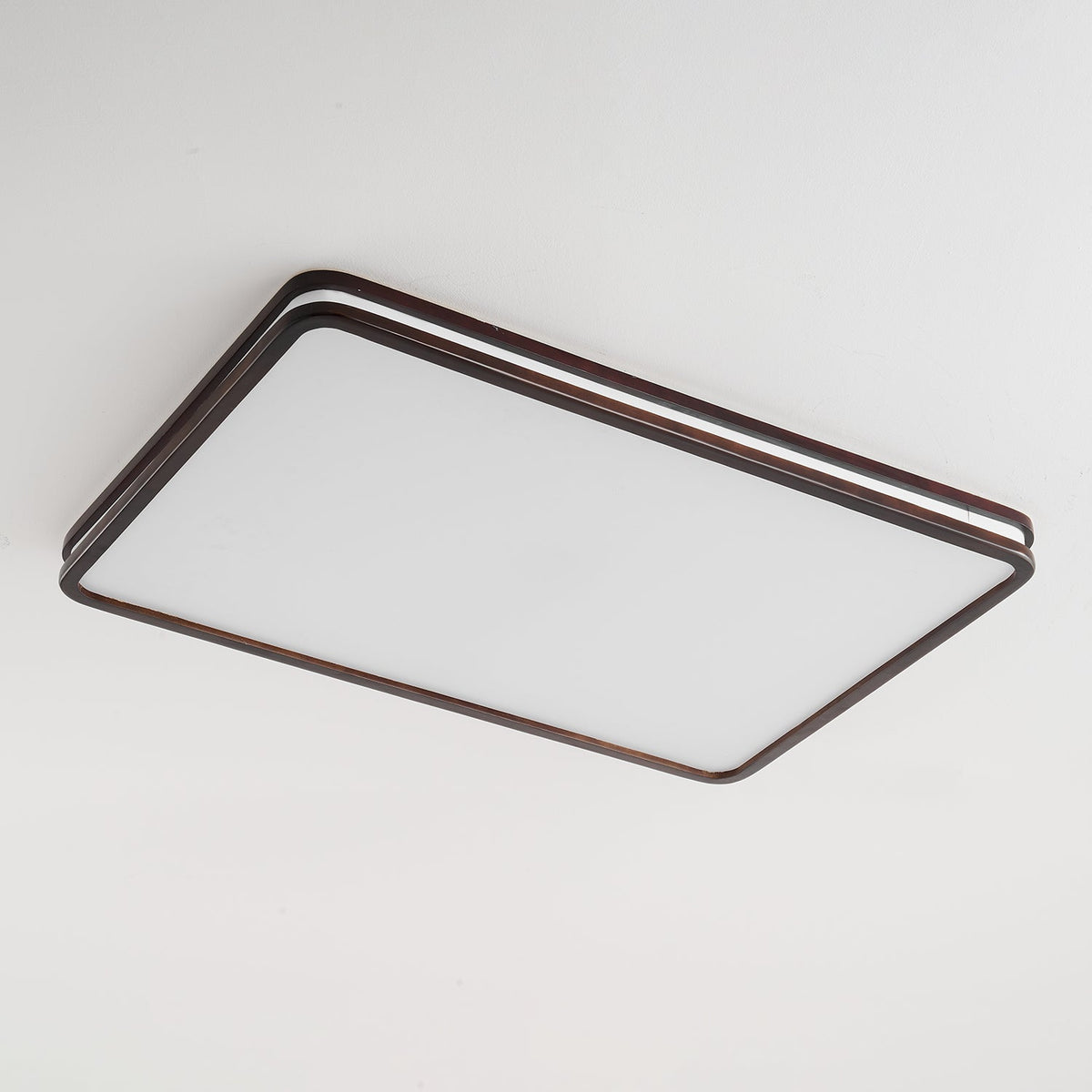 Double Rim Ceiling Light