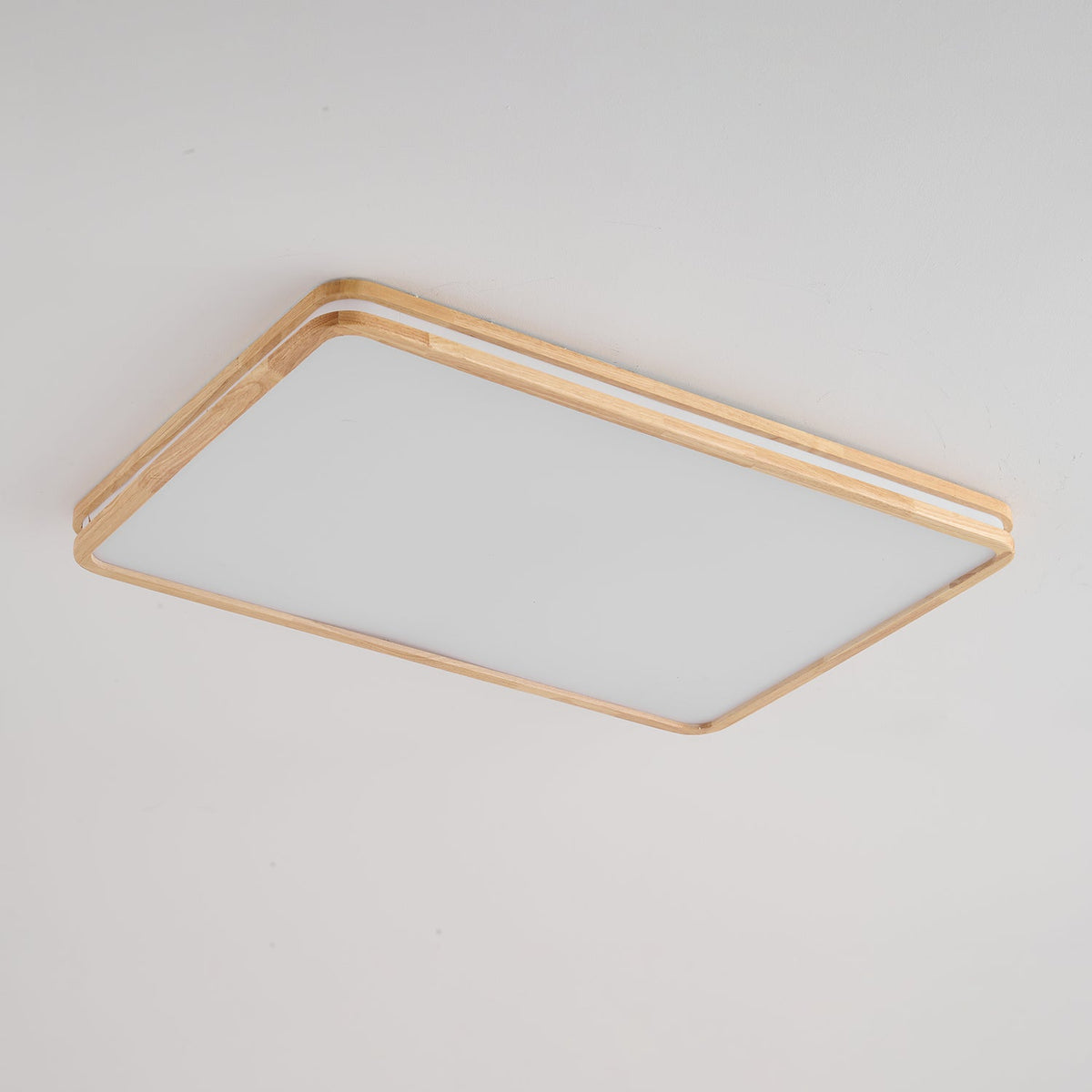 Double Rim Ceiling Light