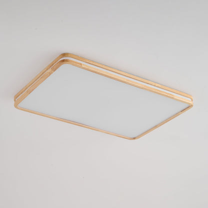 Double Rim Ceiling Light