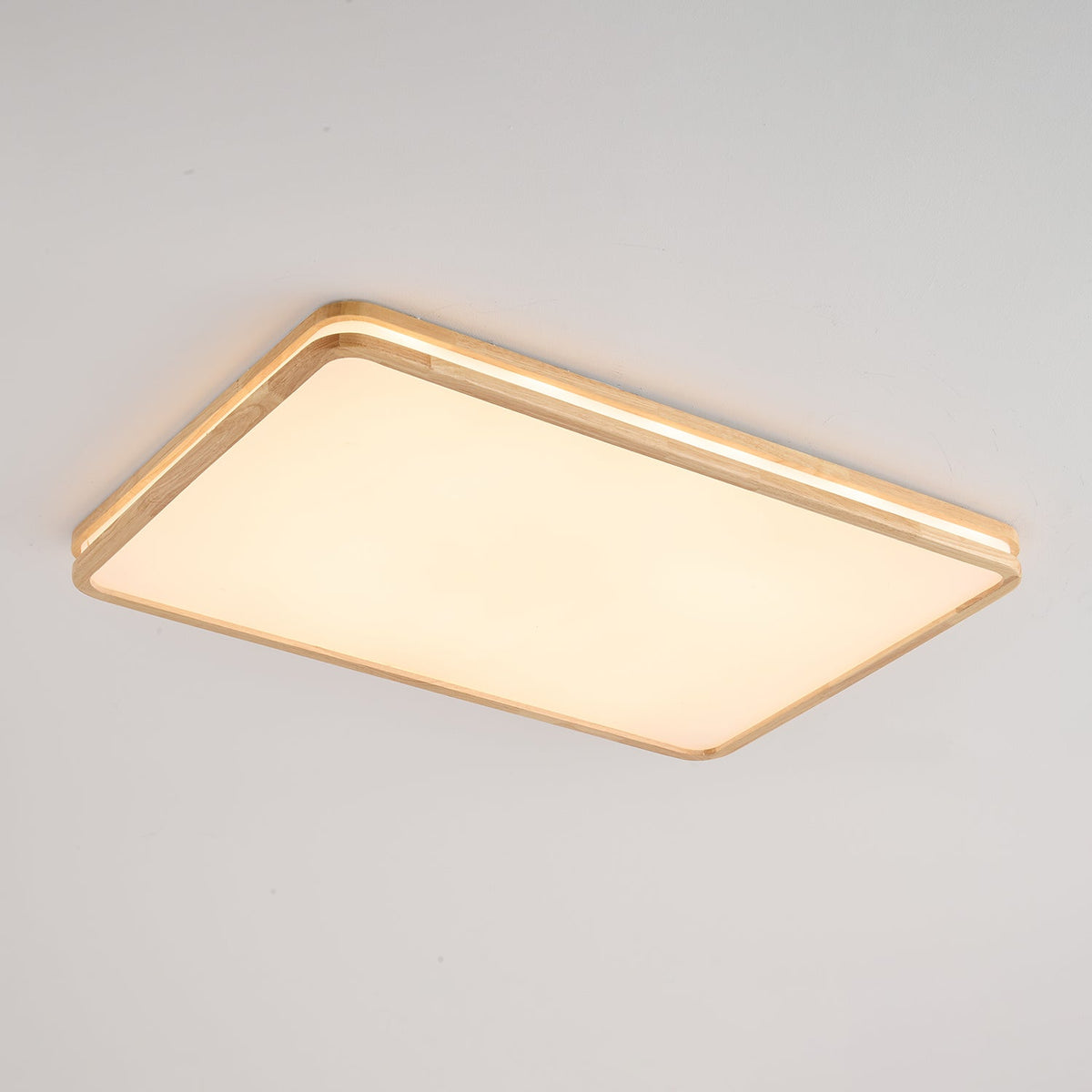 Double Rim Ceiling Light