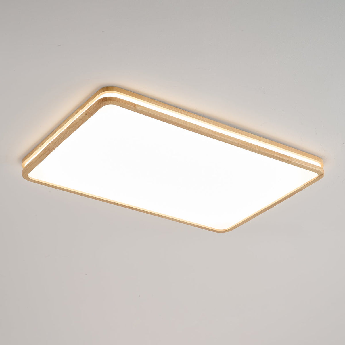 Double Rim Ceiling Light