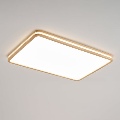 Double Rim Ceiling Light