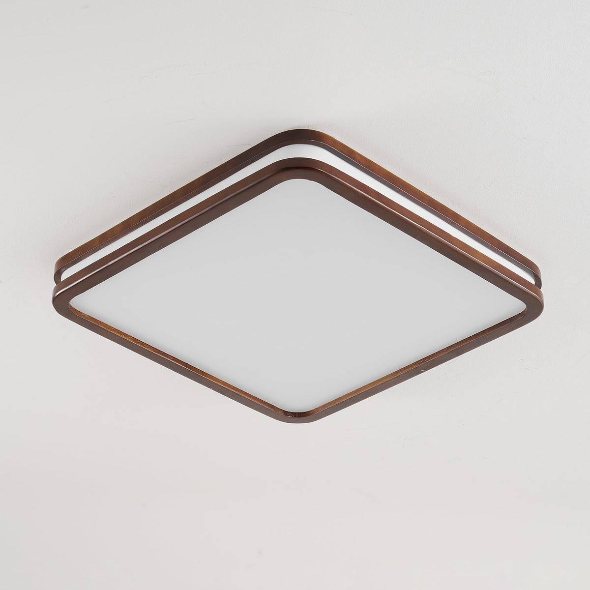 Double Rim Ceiling Light