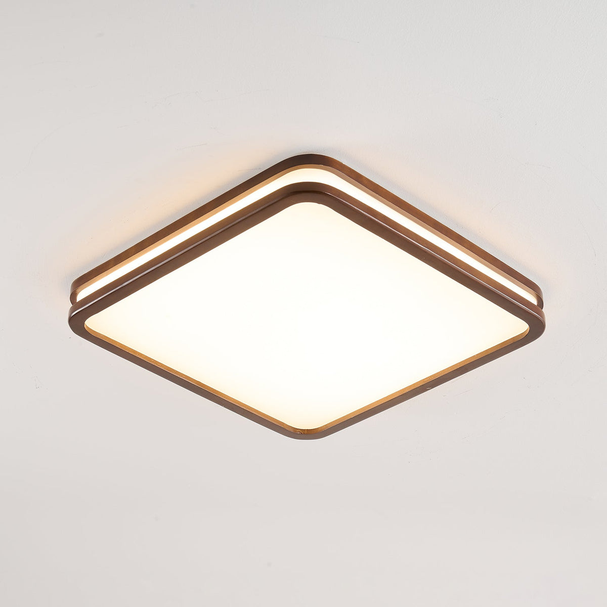 Double Rim Ceiling Light