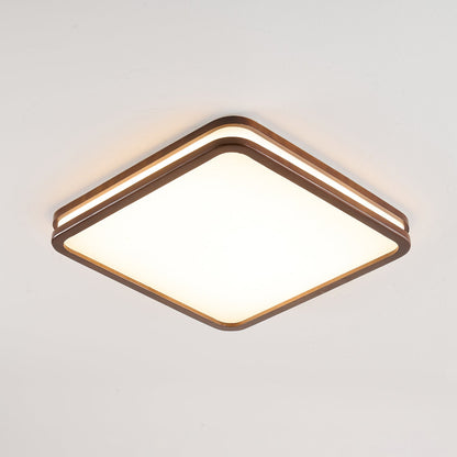 Double Rim Ceiling Light