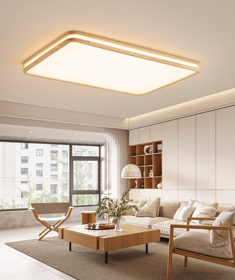 Double Rim Ceiling Light