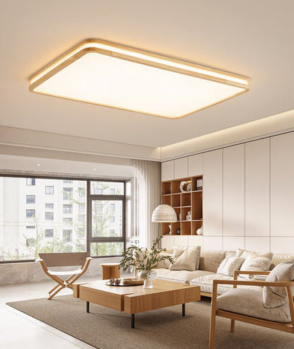 Double Rim Ceiling Light