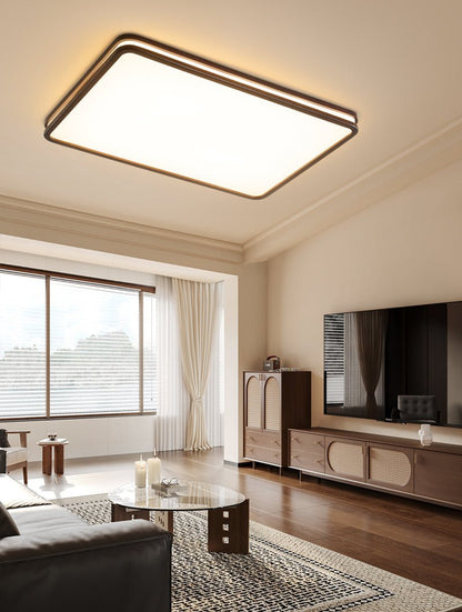 Double Rim Ceiling Light