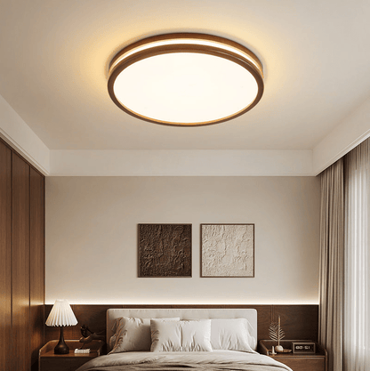Double Rim Ceiling Light