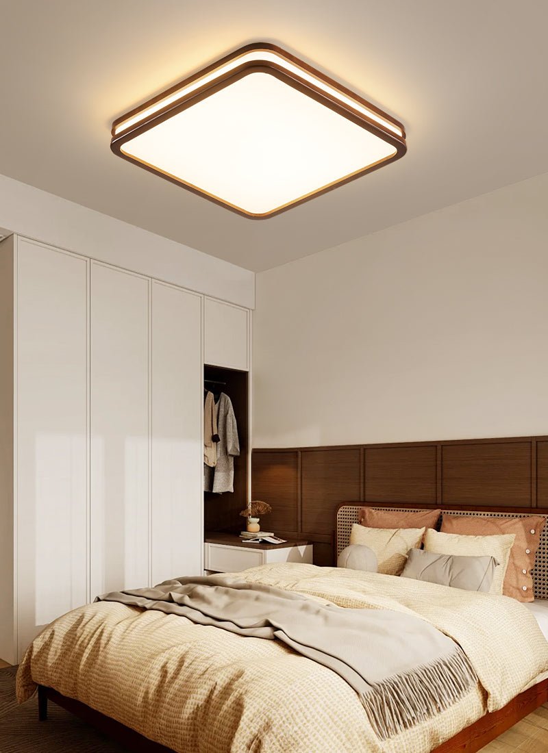 Double Rim Ceiling Light