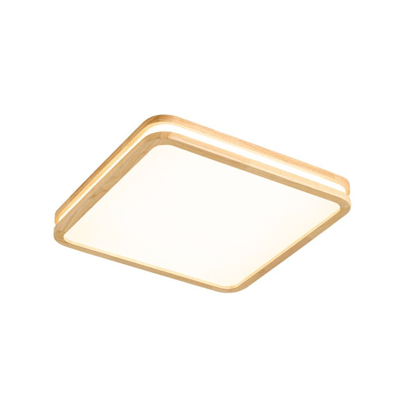 Double Rim Ceiling Light