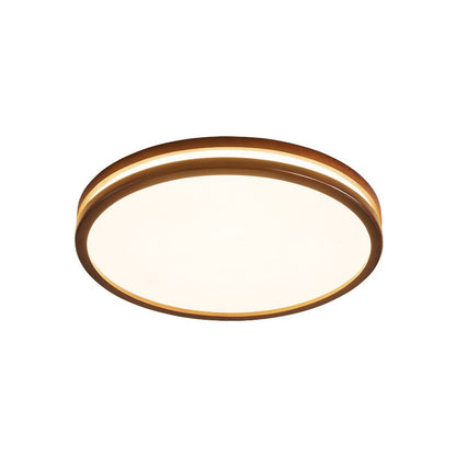 Double Rim Ceiling Light