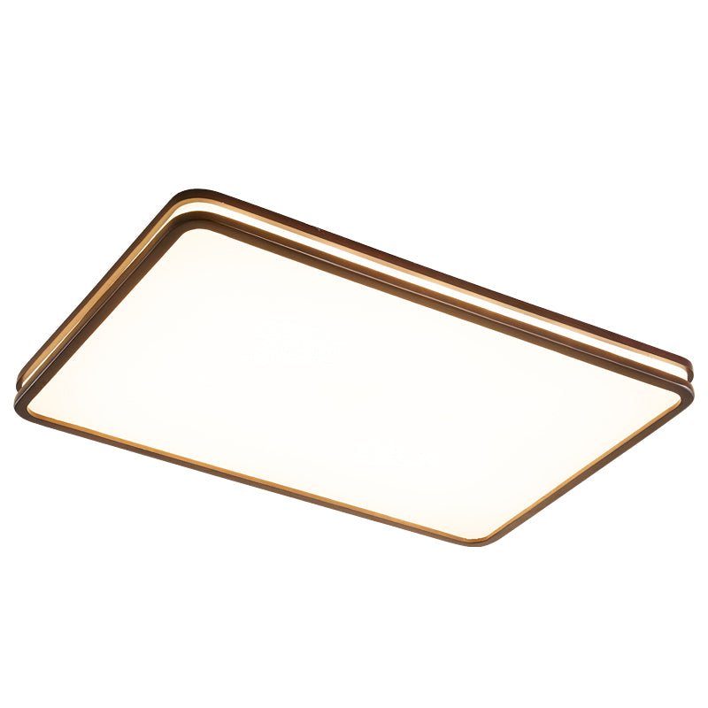 Double Rim Ceiling Light