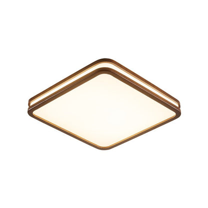 Double Rim Ceiling Light