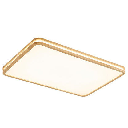 Double Rim Ceiling Light