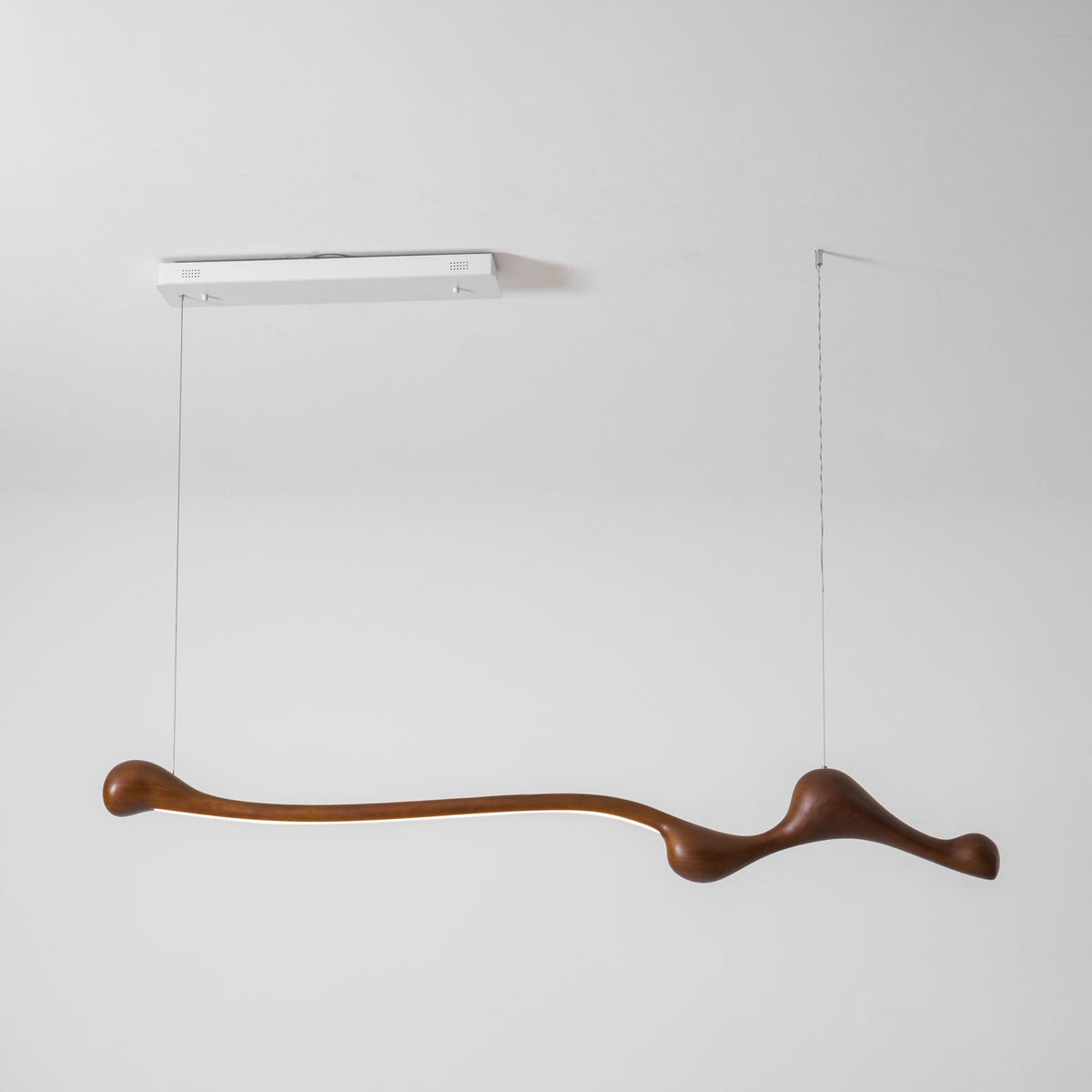 Branch Form Pendant Light