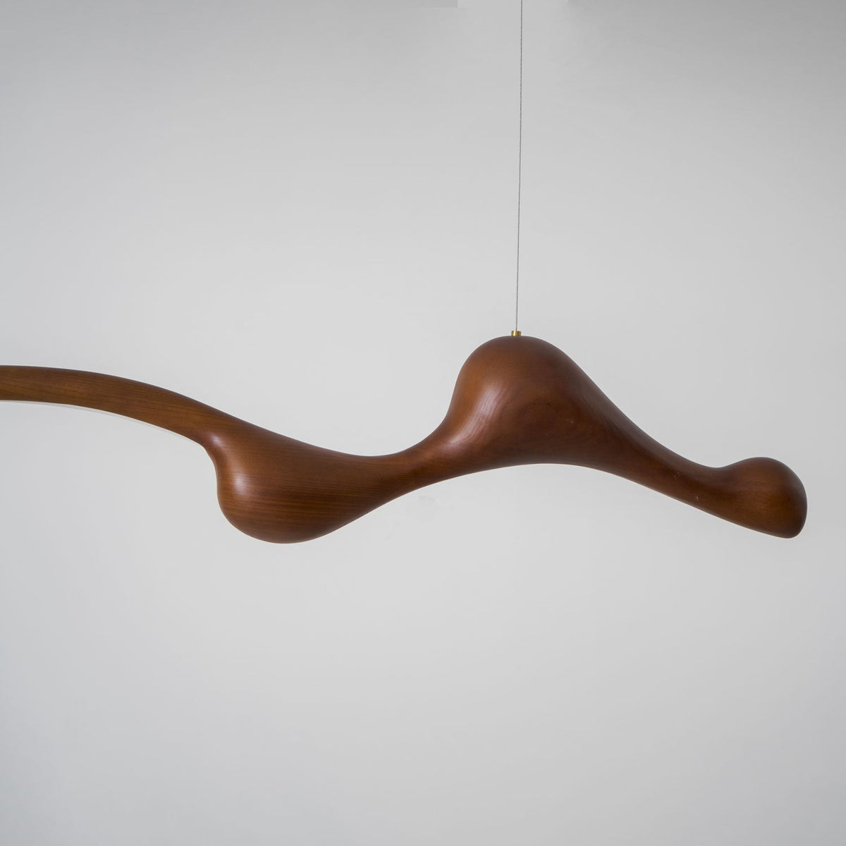 Branch Form Pendant Light