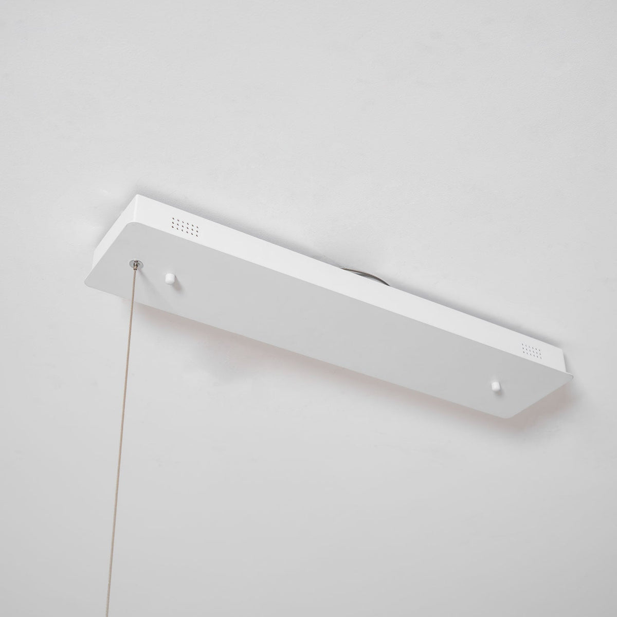 Branch Form Pendant Light