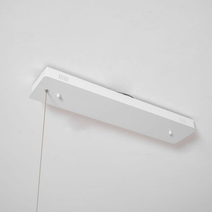 Branch Form Pendant Light