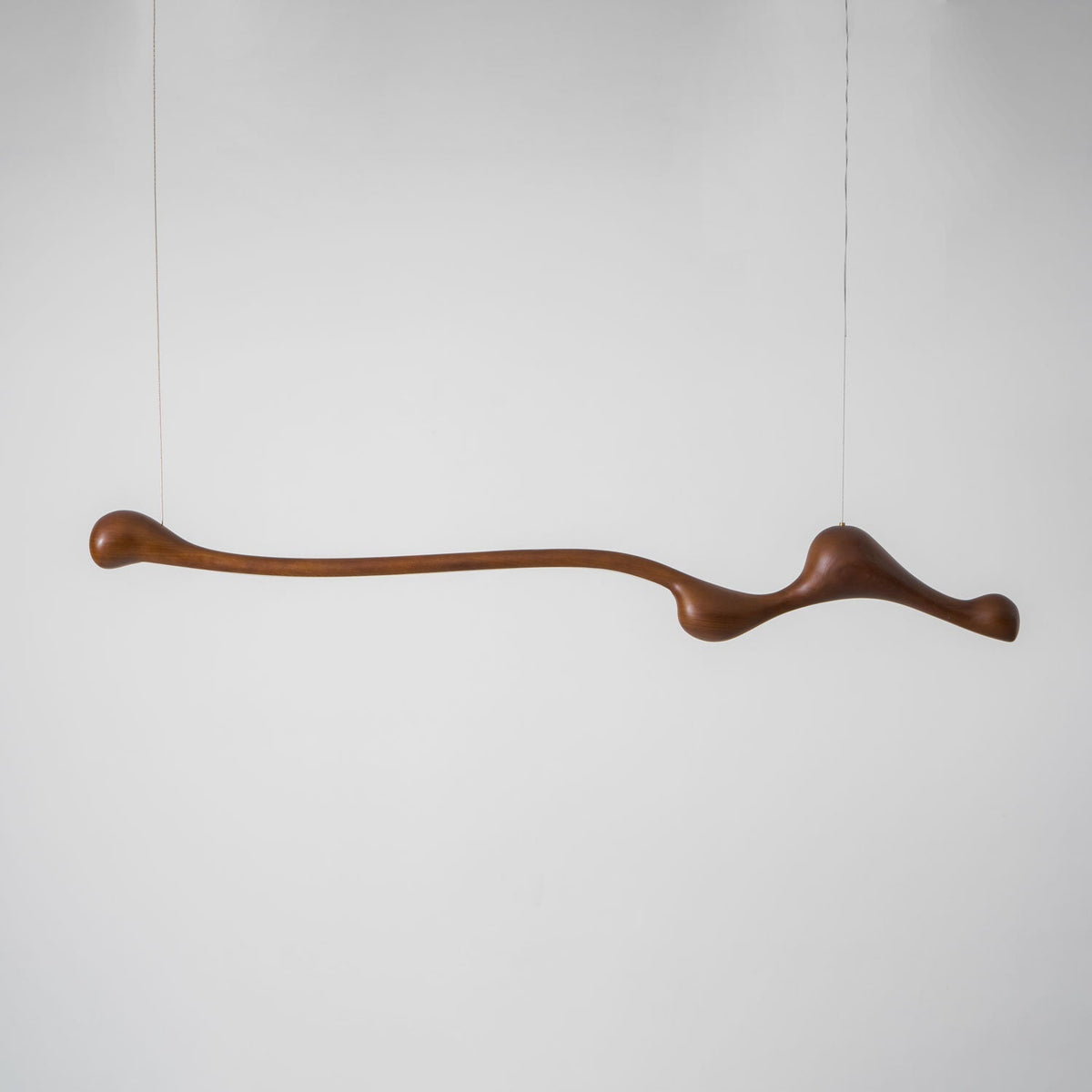 Branch Form Pendant Light