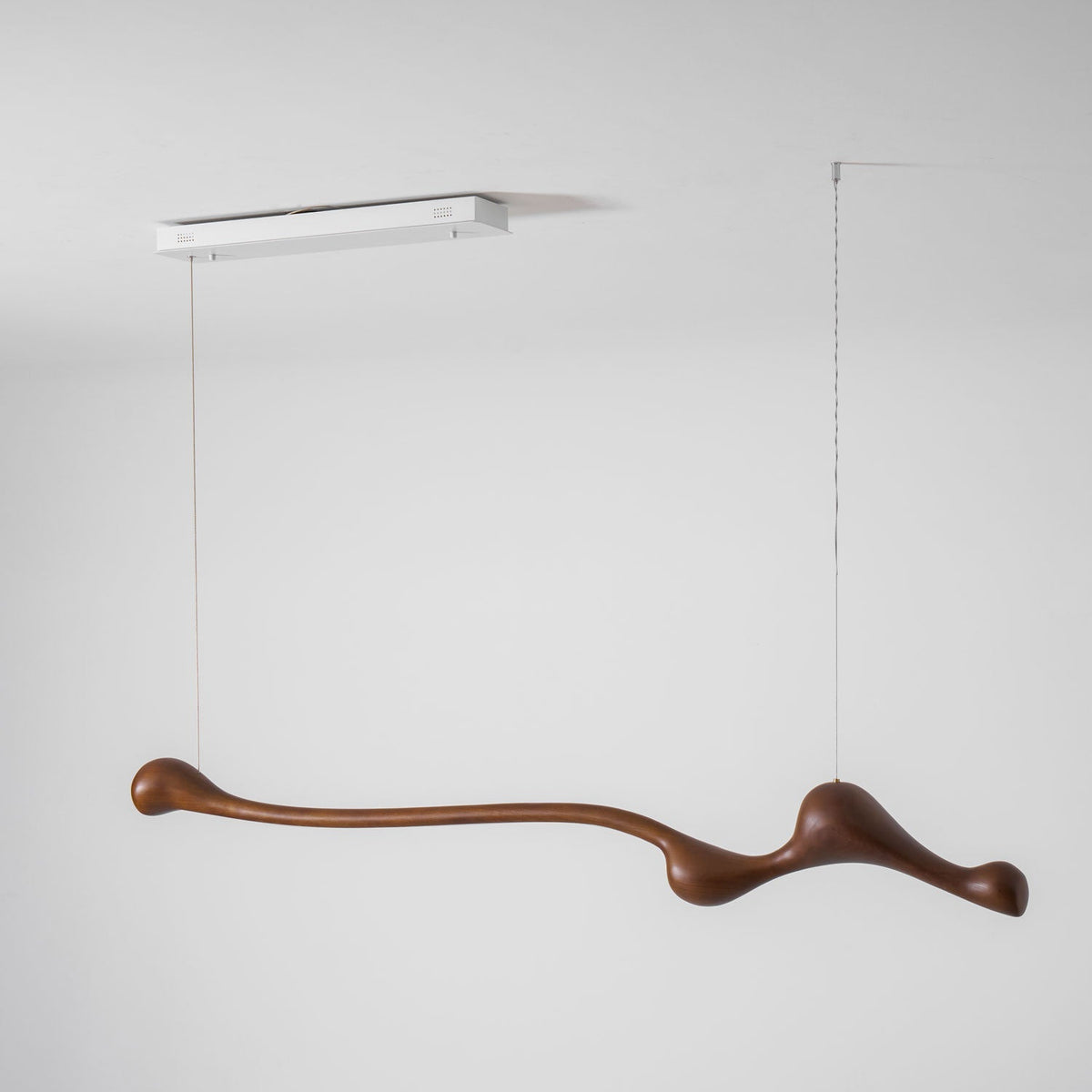 Branch Form Pendant Light