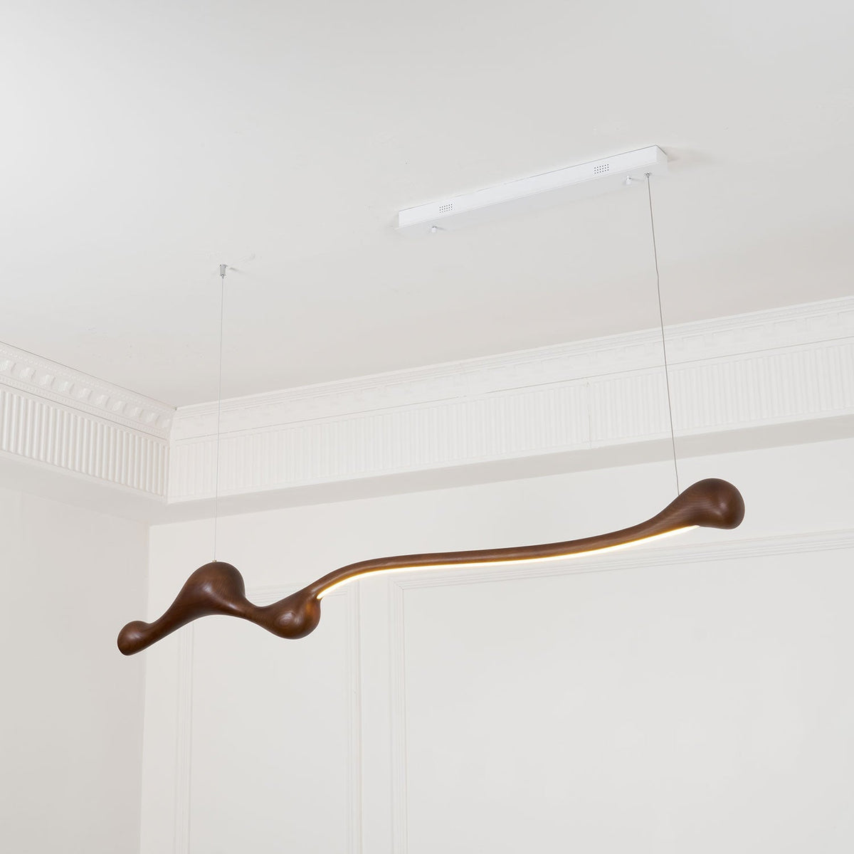 Branch Form Pendant Light