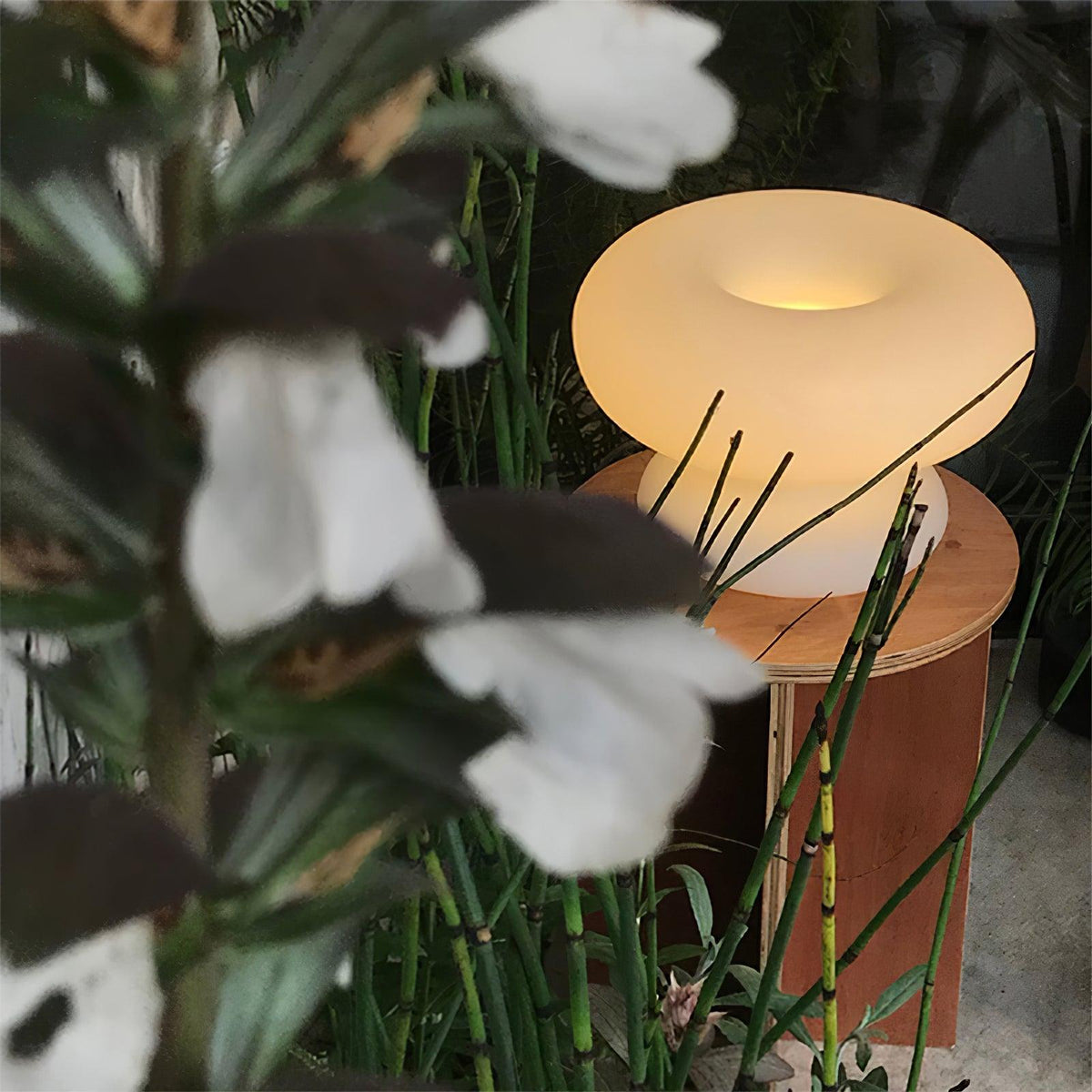 Soft Ring Table Lamp