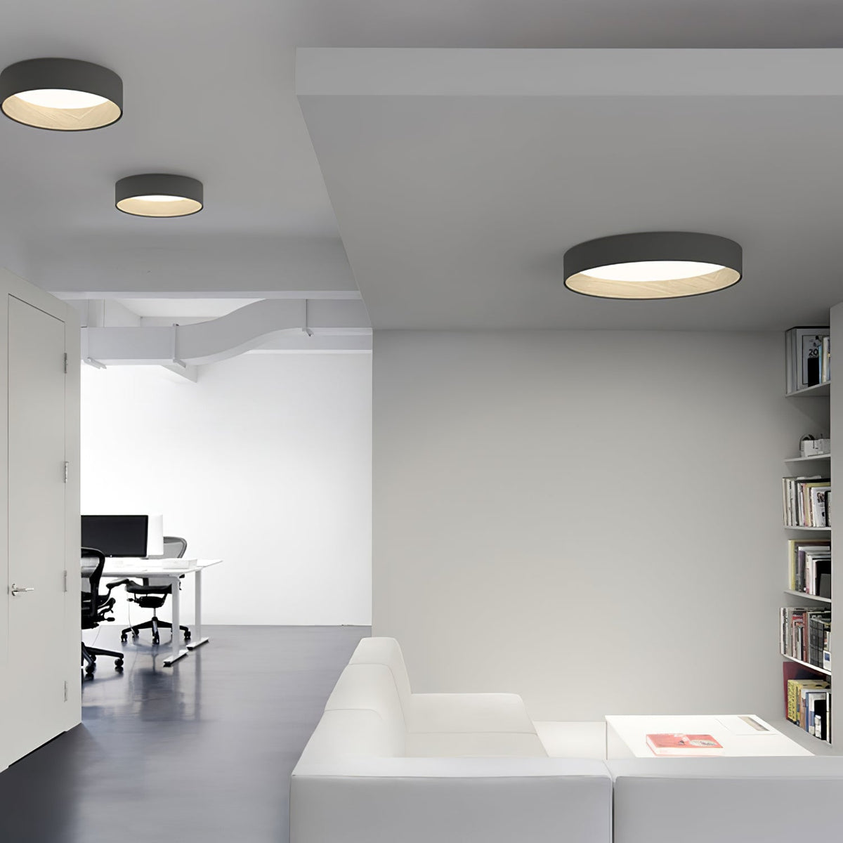 Grove Duo Ceiling Light