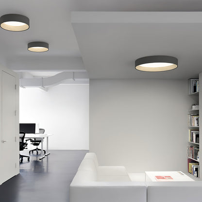 Grove Duo Ceiling Light