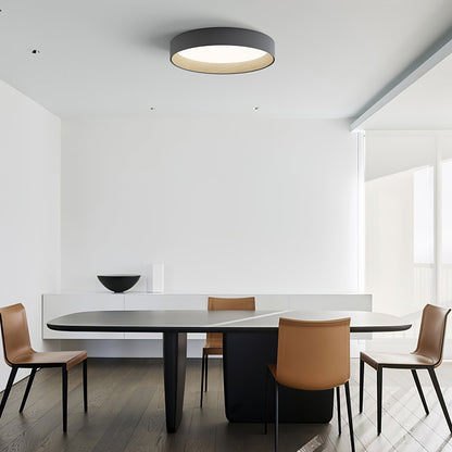 Grove Duo Ceiling Light