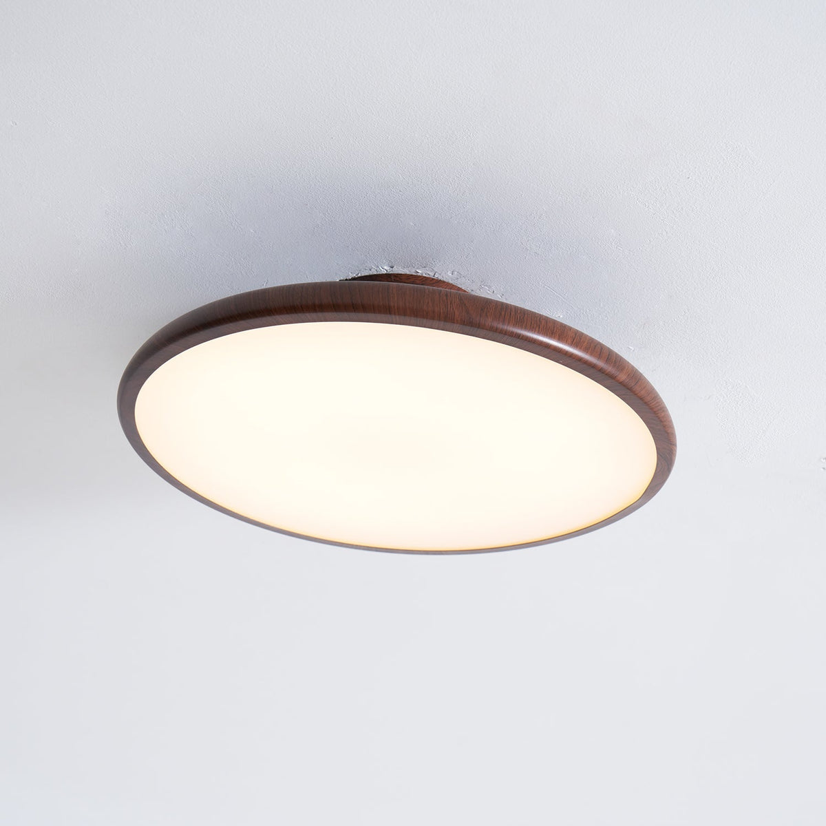 Timber Halo Ceiling Light