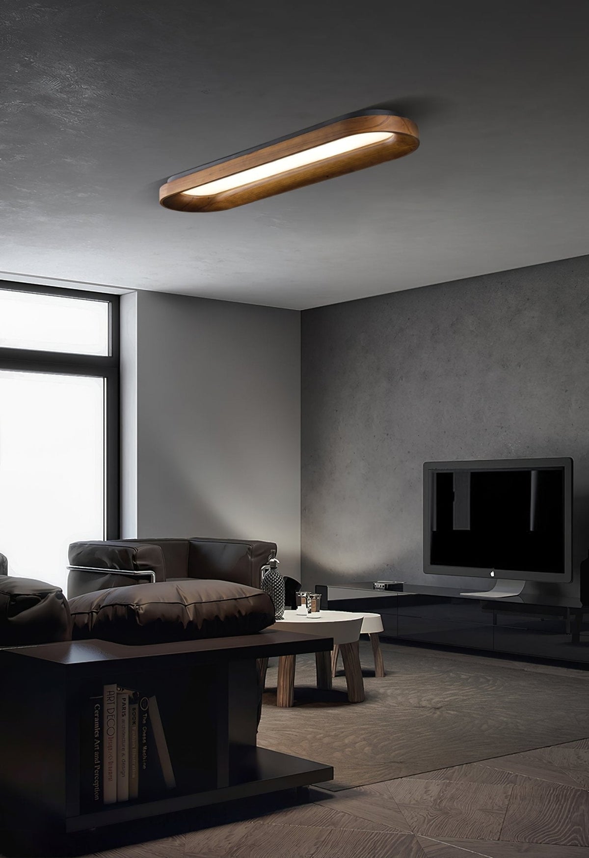 Horizon Oval Ceiling Light