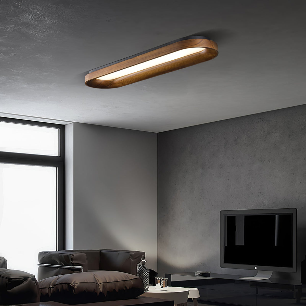 Horizon Oval Ceiling Light