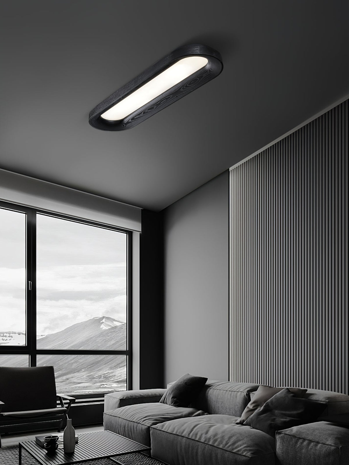 Horizon Oval Ceiling Light