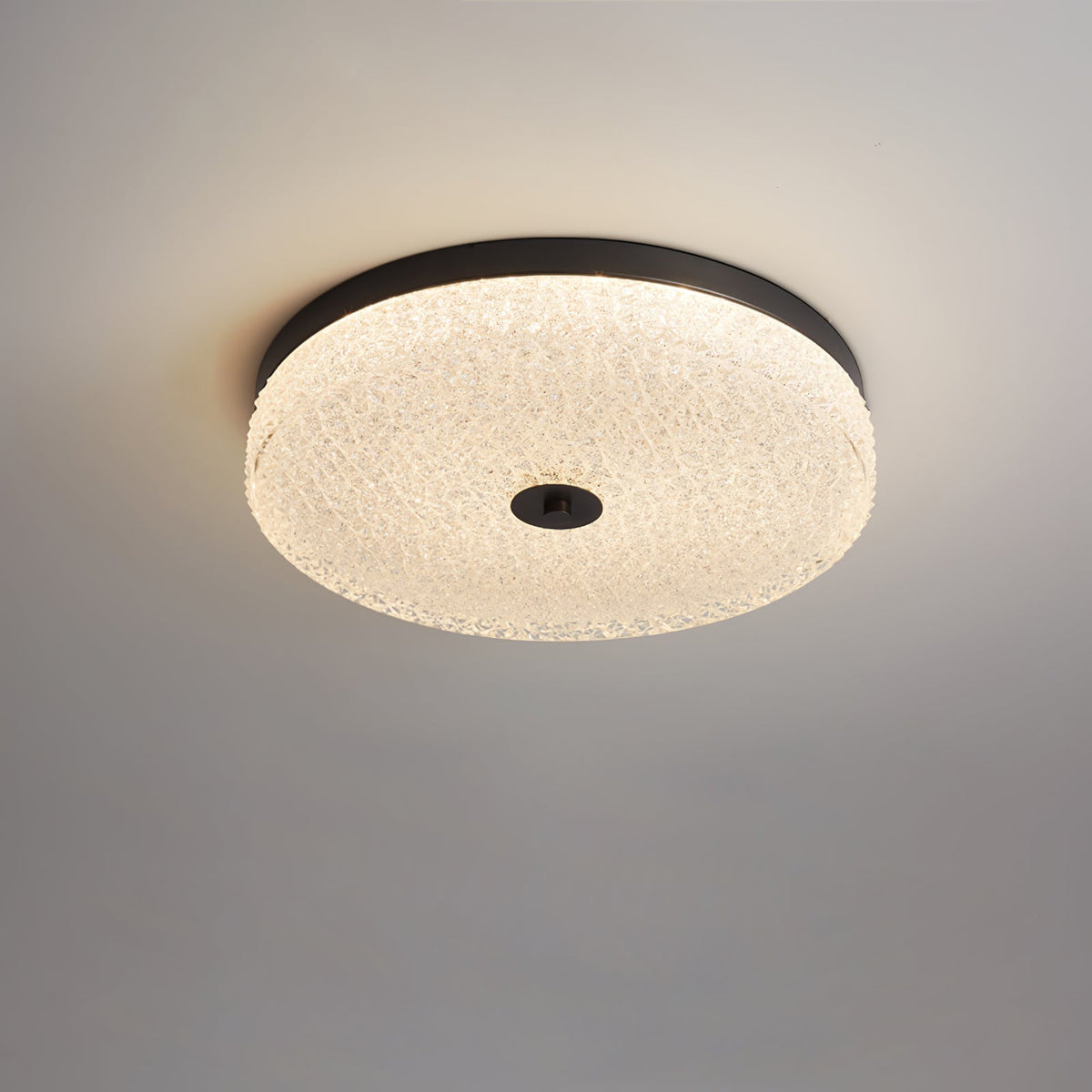 Fleck Disc Ceiling Light