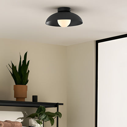 Nocturne Dome Ceiling Light